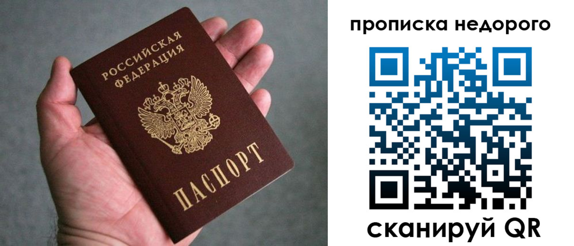 прописка поиск в Воронежской области